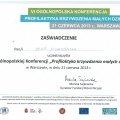 Powiększ obraz: certificate 10