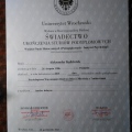 Powiększ obraz: certificate 2