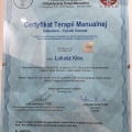 Powiększ obraz: certificate 2