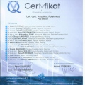 Powiększ obraz: certificate 19