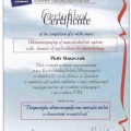 Powiększ obraz: certificate 3