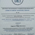Powiększ obraz: certificate 2