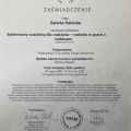 Powiększ obraz: certificate 5