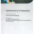 Powiększ obraz: certificate 19