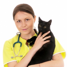 Powiększ obraz: Karolina Misztal, weterynarz Dąbrowa Górnicza