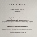 Powiększ obraz: certificate 1