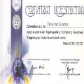 Powiększ obraz: certificate 13