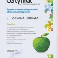 Powiększ obraz: certificate 6