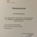 Powiększ obraz: certificate 4