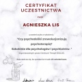 Powiększ obraz: certificate 5