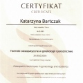 Powiększ obraz: certificate 2