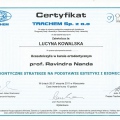 Powiększ obraz: certificate 5