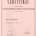 Powiększ obraz: certificate 7