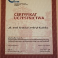 Powiększ obraz: certificate 8