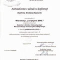 Powiększ obraz: certificate 6