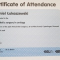 Powiększ obraz: certificate 28