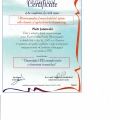 Powiększ obraz: certificate 9