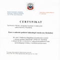 Powiększ obraz: certificate 6
