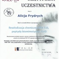 Powiększ obraz: certificate 13