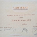 Powiększ obraz: certificate 2
