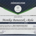 Powiększ obraz: certificate 2