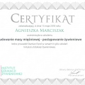 Powiększ obraz: certificate 1