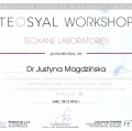 Powiększ obraz: certificate 8