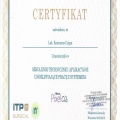 Powiększ obraz: certificate 6