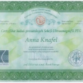 Powiększ obraz: certificate 10