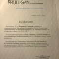 Powiększ obraz: certificate 13