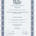Powiększ obraz: certificate 2