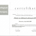 Powiększ obraz: certificate 5