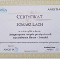 Powiększ obraz: certificate 32