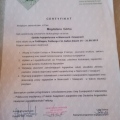 Powiększ obraz: certificate 2