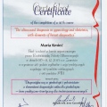 Powiększ obraz: certificate 2
