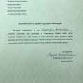 Powiększ obraz: certificate 2
