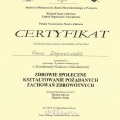 Powiększ obraz: certificate 3