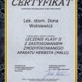 Powiększ obraz: certificate 45