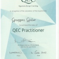 Powiększ obraz: certificate 5