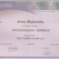 Powiększ obraz: certificate 3