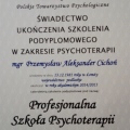 Powiększ obraz: certificate 1