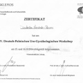 Powiększ obraz: certificate 19