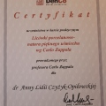 Powiększ obraz: certificate 13