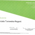 Powiększ obraz: certificate 5
