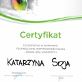Powiększ obraz: certificate 3