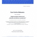 Powiększ obraz: certificate 2