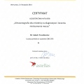 Powiększ obraz: certificate 1