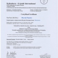 Powiększ obraz: certificate 8