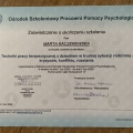 Powiększ obraz: certificate 4