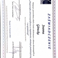 Powiększ obraz: certificate 19